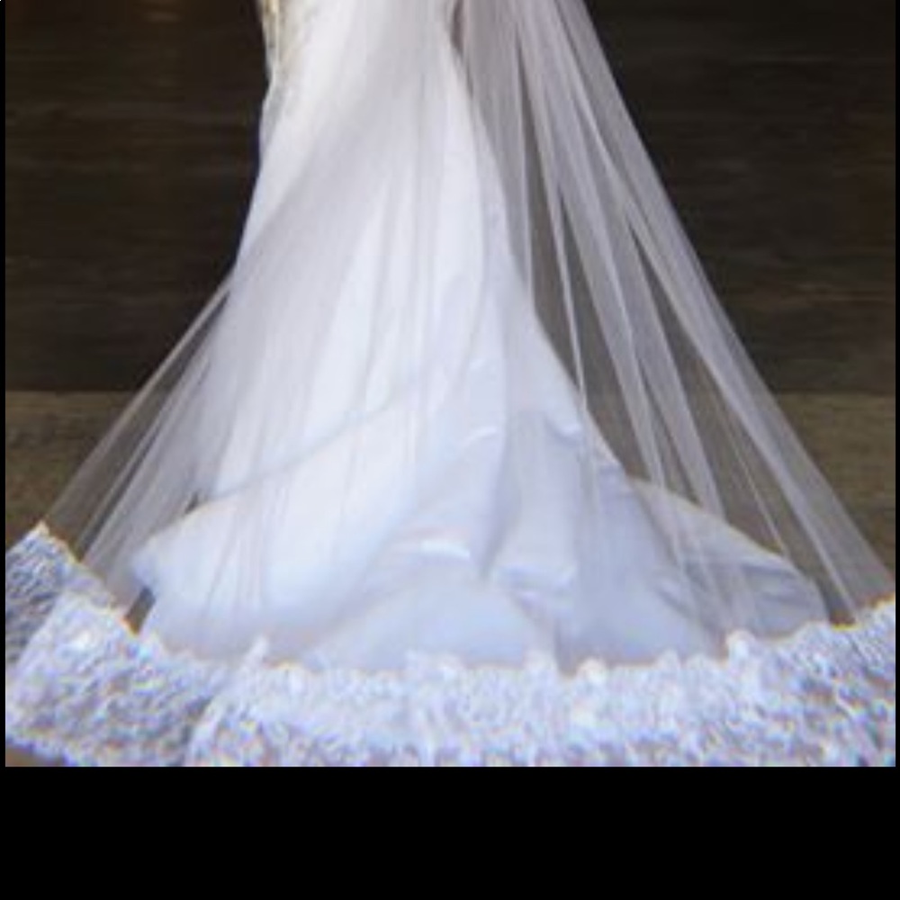 Cathedral length wedding veil
